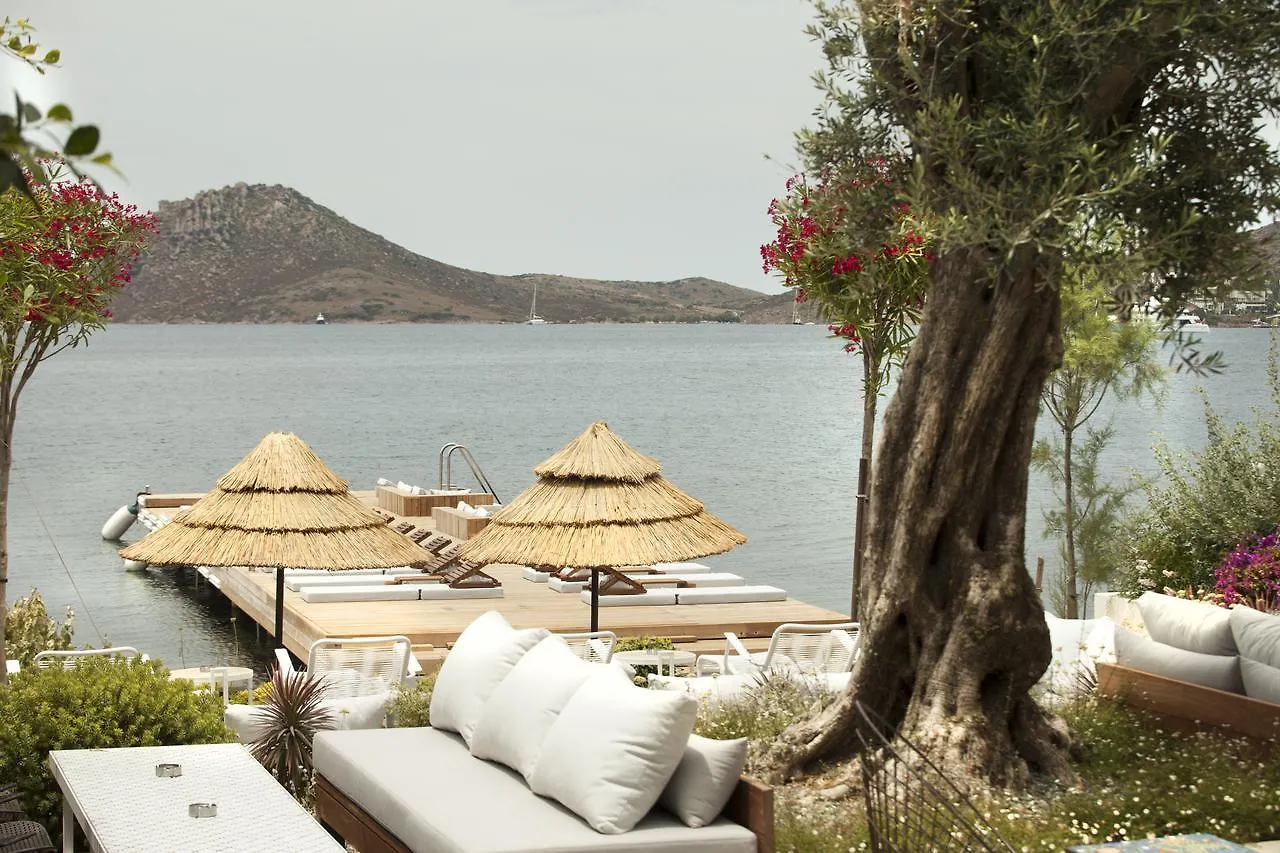 Boho Hotel-Adults Only Yalıkavak Hotel